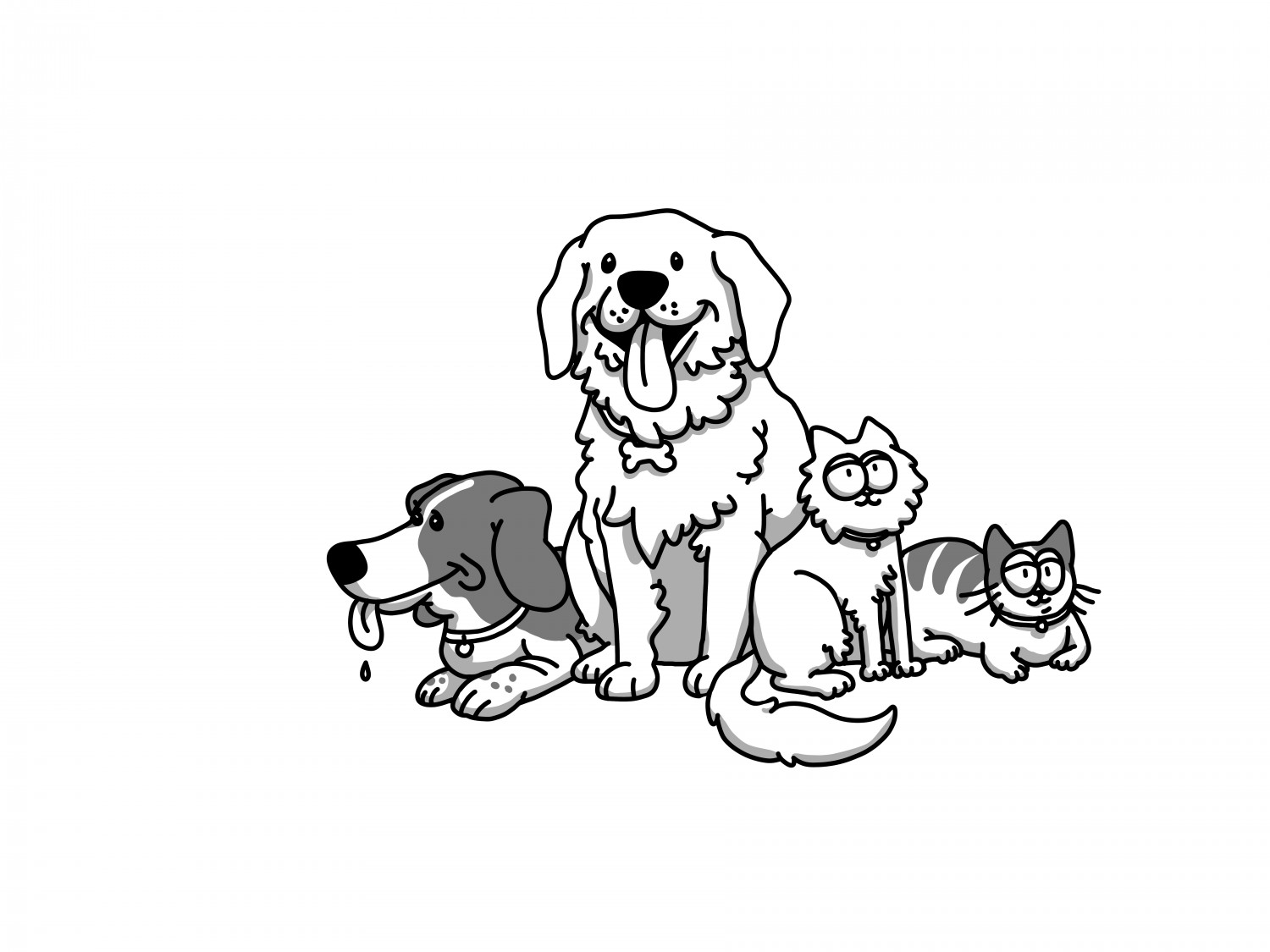 Drawing of pets