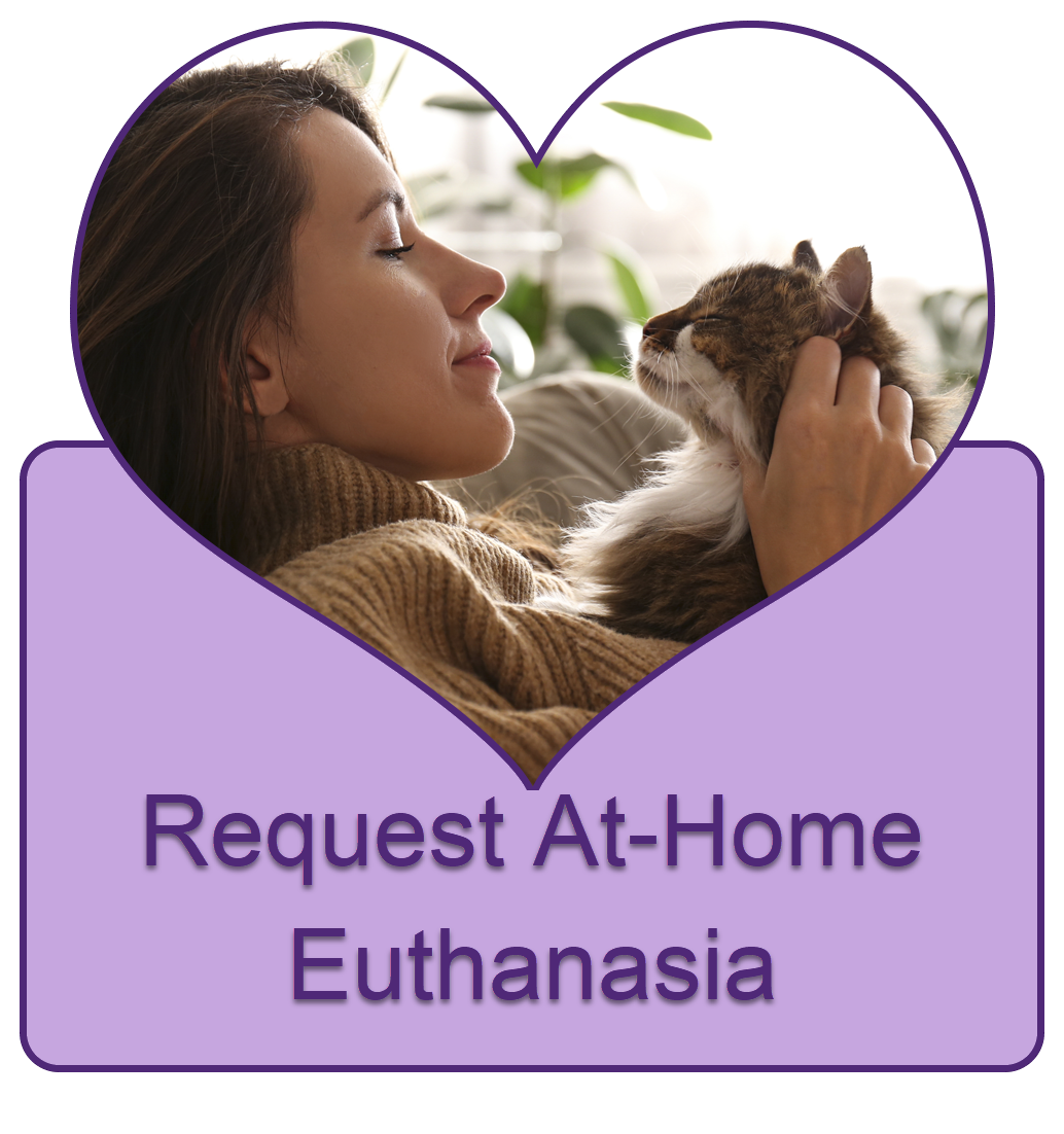 Request At-Home Euthanasia Button
